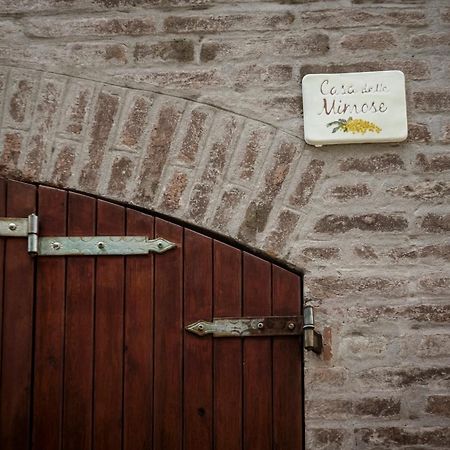 Accademia Al Colle Apartment Bologna Exterior photo